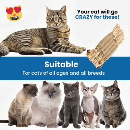 Natural Silvervine Dental Sticks