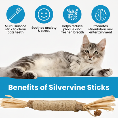 Natural Silvervine Dental Sticks