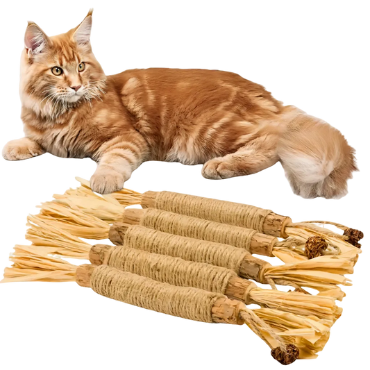 Natural Silvervine Dental Sticks