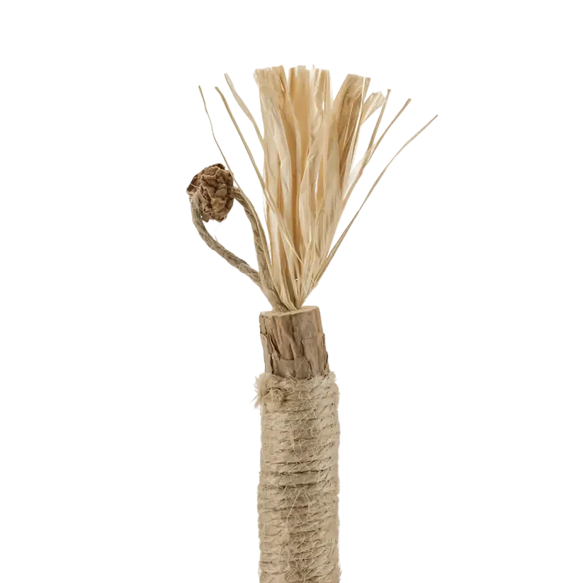 Natural Silvervine Dental Sticks