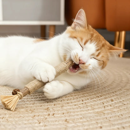 Natural Silvervine Dental Sticks